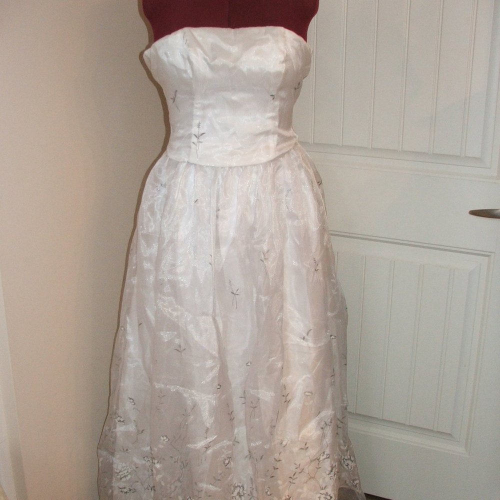 Zum Zum by Niki Livas Strapless Full Length Gown Size 9/10 Corset Back (1J)